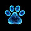 nexpawstech