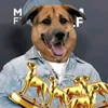 fgzggf