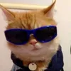 pablo.emanoel7