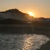 sarah.frota1