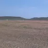 agrobalaiada
