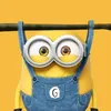 mundodobob46