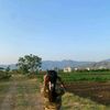 nistha292