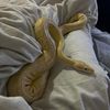 i_need_sleep_444