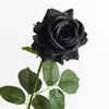aein_dm