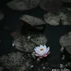 nguyenthitrang0506
