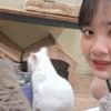 nonginjunniee