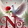 asile.omran7