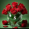 shikhaislam5093