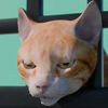adi_meme_kucing