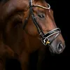 alexarthur472