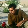 333tahirjaved