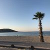 eylulsena00