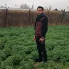 user29841920660334