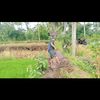jumantoro233