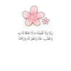 sarawi.salh