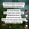 user7929675592420