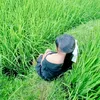hong.bo.trn1