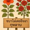 ma.name.at