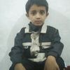 user4306877038549115