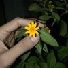 thwe.thwe.aung138