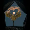 kin.nguyn9306150806