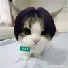 lihuejaja0