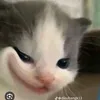 ikusan32