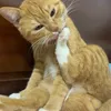 meocamdayhehe