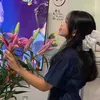 kimphuong_881