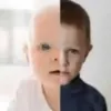 zsk_12