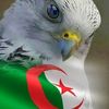 user7457161962087