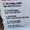 taovaomoi1102