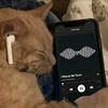 wellcome_tiktok
