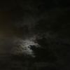يمكن محمد 🌘