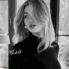 .a528830