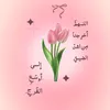 user7312717381726