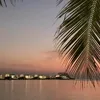 safaa_2121