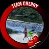 team_cherry_bestie_bus