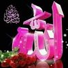 user81056840375196
