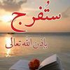 shaimaamohamed7917