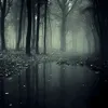 the_leader82