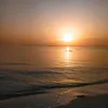 miled.amri8