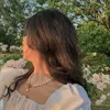 sawen_sahid