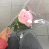 vasi_tomowa16
