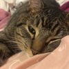 rosalie_407