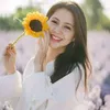 sunflower1877j