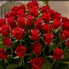user27239961916124