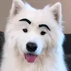 abfenix7