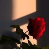 umi_elabdeellah04